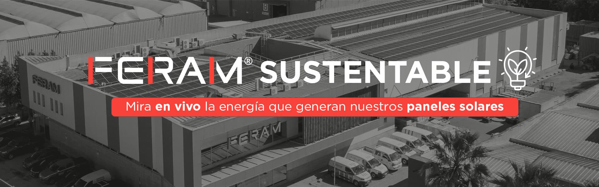 Proceso de evaluación y soporte técnico Recambio SpA
